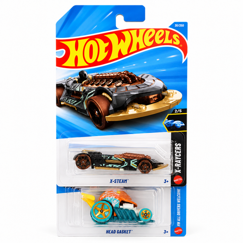 Hot Wheels Die-Cast Car | 1:64 Scale Collectible Toy | HW01