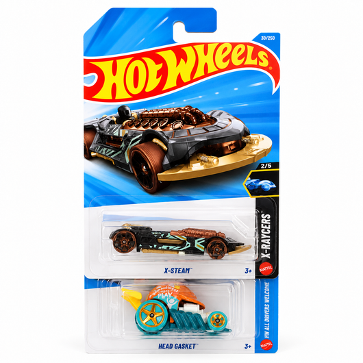 Hot Wheels Die-Cast Car | 1:64 Scale Collectible Toy | HW01
